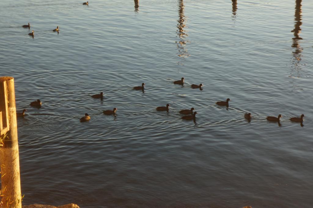Lake Marina Inn Clearlake Oaks Εξωτερικό φωτογραφία