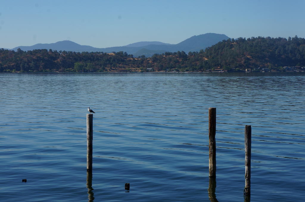 Lake Marina Inn Clearlake Oaks Εξωτερικό φωτογραφία